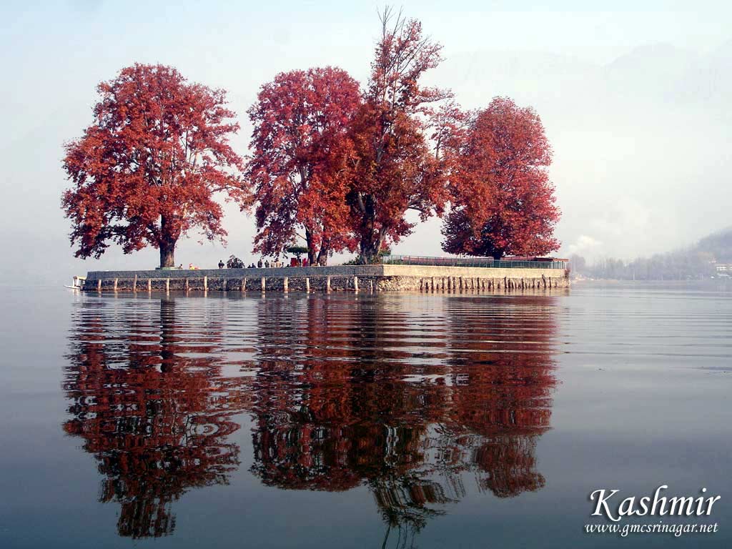 Kashmir Special tour
